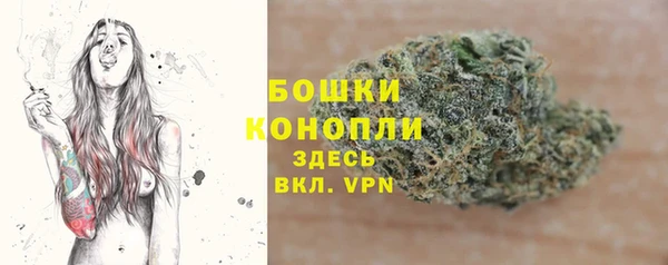 Альфа ПВП Дмитровск