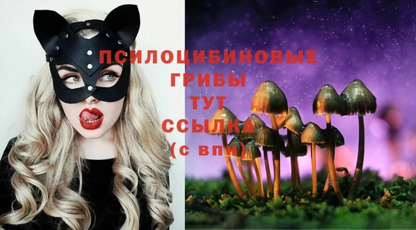 спиды Дмитриев