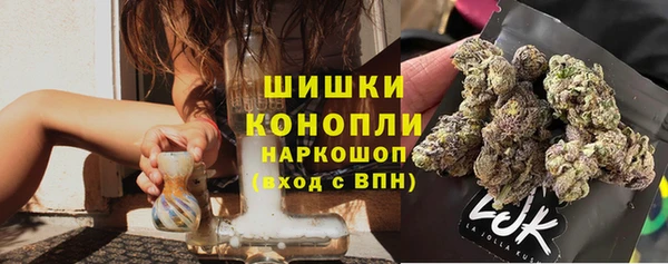 спиды Дмитриев