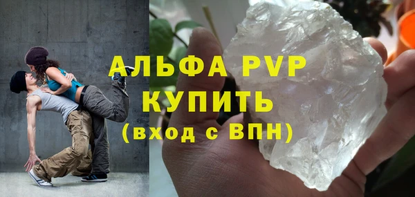 спиды Дмитриев